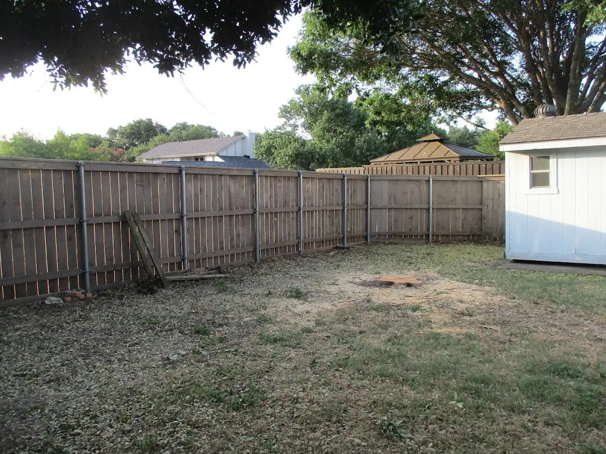 Cleared yard after professional tree removal in Coyanosa